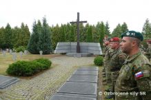 Partnersk vpomoc profesionlnych vojakov 20. prporu logistiky Preov s vojakmi Bundeswehr pri drbe vojenskch nemeckch cintornov